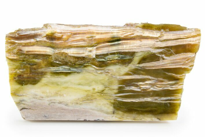 Chatoyant, Polished Pietersite Slab - Arizona #301705